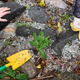 Volunteers investigate the presence of plastic nurdles in the port of Antwerp.